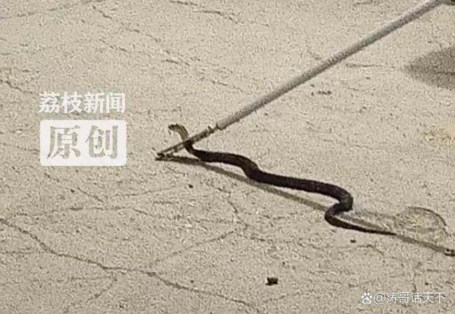 第655页