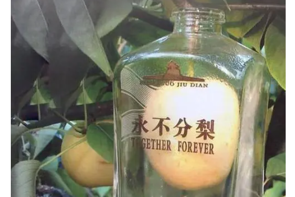 娱乐生活 第3页