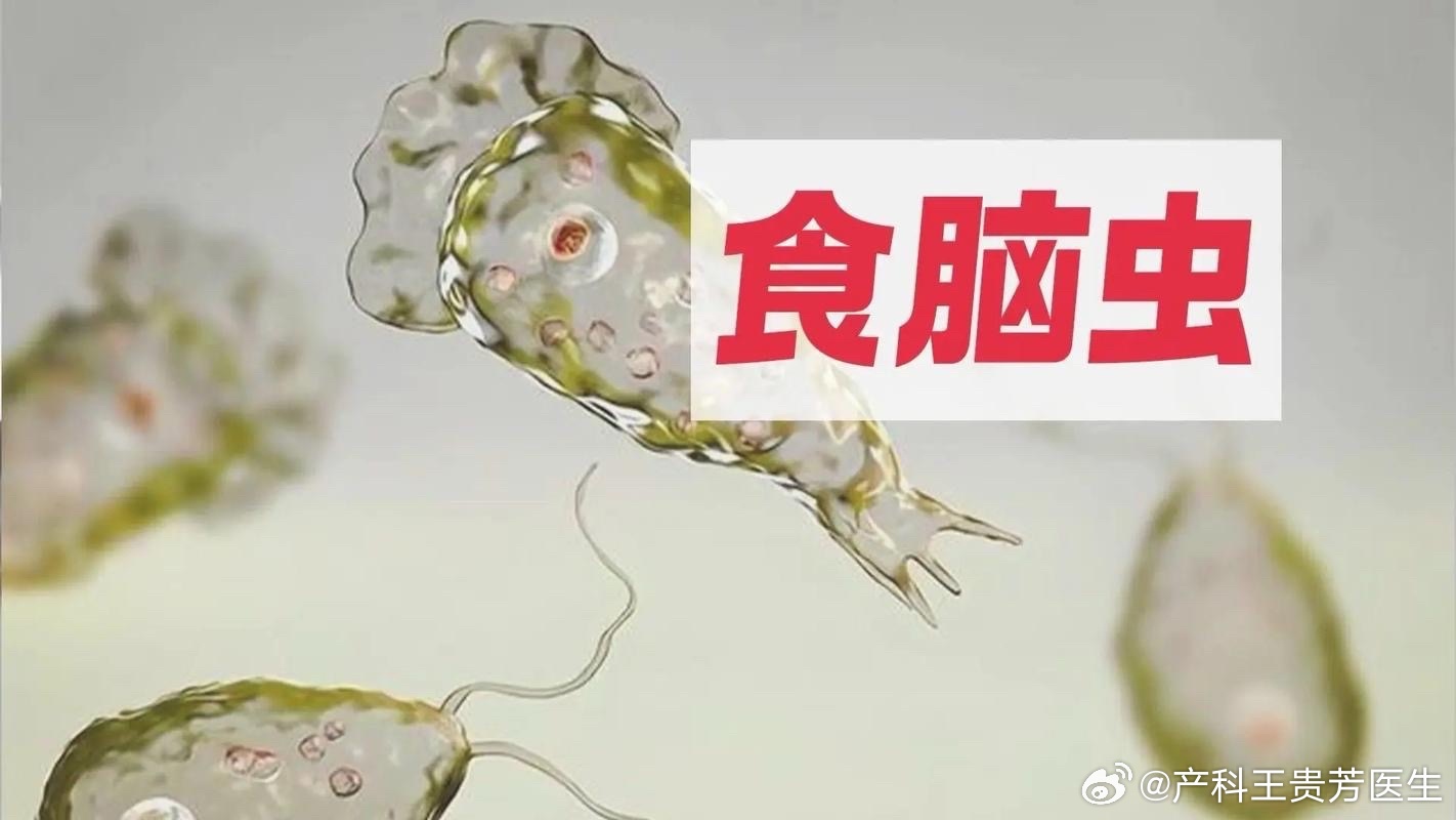 感染食脑虫60天去世感染食脑虫60天去世，深度解析与预防策略