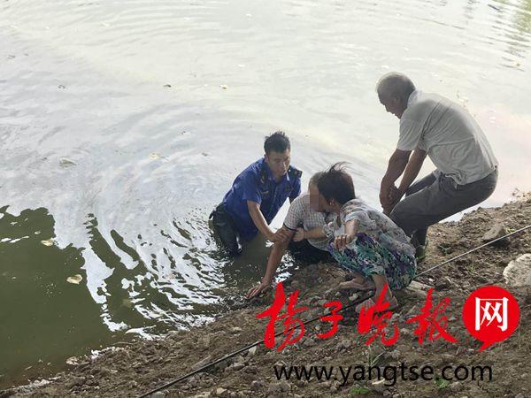 落水老人施救溺亡关于落水老人施救溺亡的事件，我们可以从多个角度来探讨这个问题。