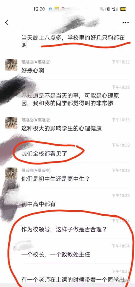 中学回应虐狗事件是哪一集中学回应虐狗事件背后的真相与反思（不建议提及具体集数）